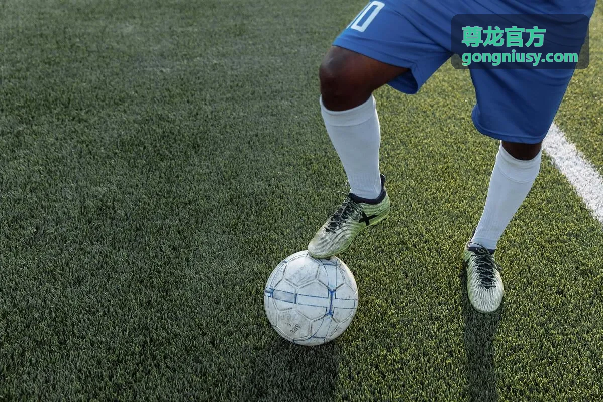 尊龙官方活动现场签到区指引与出入口导览